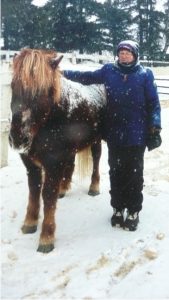 tbtra horse in snow